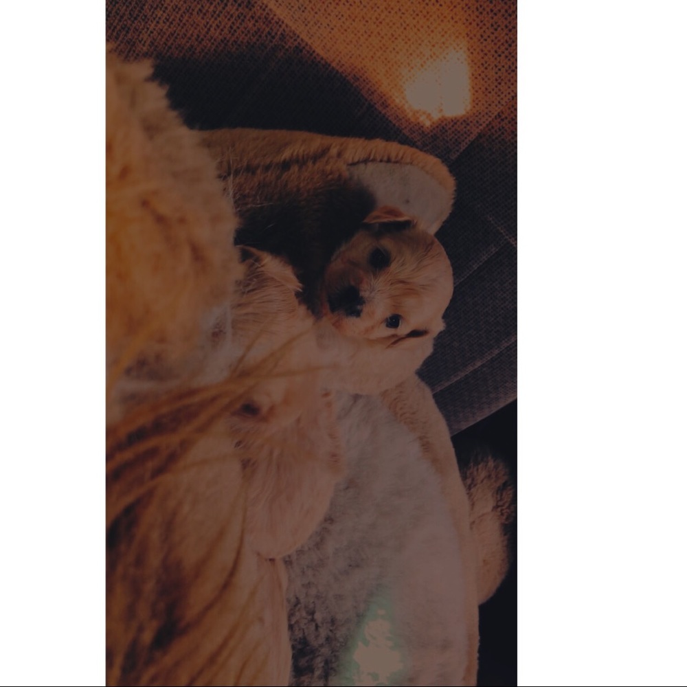 Meet your Posher, Jazmin